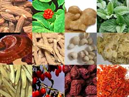 Chinese Herbs Chinese Herbs